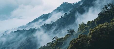 ai generato sole raggi penetrante attraverso nebbia al di sopra di un' foreste montagna foto