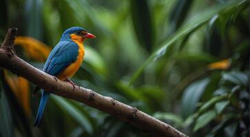 ai generato colorato bellissimo uccello seduta su il albero nel il giungla, colorato selvaggio uccello, colorato selvaggio uccello seduta su il ramo di albero nel giungla foto