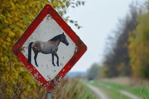 ai generato sicurezza traffico cartello, Attenzione cavallo foto