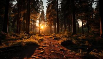 ai generato un' tranquillo autunno foresta, vivace con colorato le foglie e luce del sole generato di ai foto