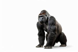 ai generato pianura gorilla clipart foto