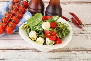 mescolare insalata con Mozzarella e pomodoro foto