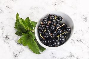 succoso nero ribes frutti di bosco nel il ciotola foto