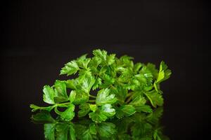 fresco primavera verde prezzemolo fogliame su nero sfondo foto