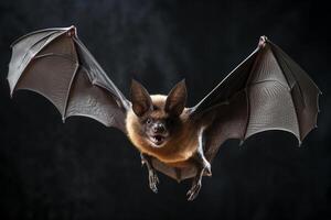 ai generato pipistrello su volare foto