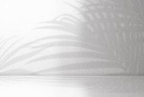 bianca studio sfondo con palma le foglie ombra con leggero su grigio calcestruzzo parete trama, vuoto cucina camera con tropicale foglia riflessione su cemento superiore tavolo, sfondo Schermo per Prodotto presentazione foto