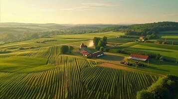 ai generato presto mattina leggero calchi lungo ombre al di sopra di il rotolamento terreno agricolo, con azienda agricola edifici annidato tra il verde campi. foto