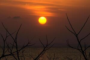 tramonto cielo su il lago foto