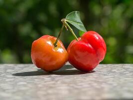 vicino su rosso acerola ciliegia. foto