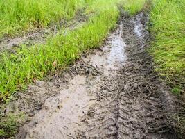 tracce di pneumatici di camion sul fango foto