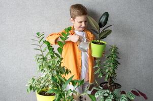 un' carino ragazzo è studiando interno verde impianti, cura per fiori. irrigazione il suolo nel un' ficus pentola foto