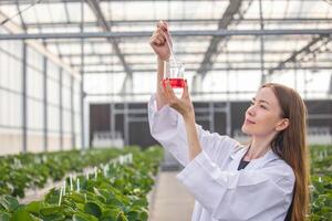 scienziato Lavorando nel biologico agricoltura azienda agricola ricerca nuovo chimico formula estratto a partire dal pianta per medico concetto. foto