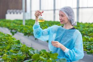 scienziato Lavorando nel biologico agricoltura azienda agricola ricerca nuovo chimico formula estratto a partire dal pianta per medico concetto. foto