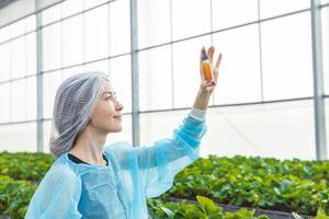 scienziato Lavorando nel biologico agricoltura azienda agricola ricerca nuovo chimico formula estratto a partire dal pianta per medico concetto. foto