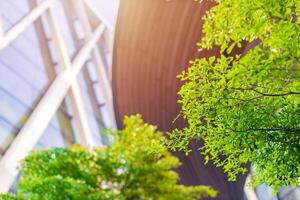 verde città bene ecologia ambiente albero parco in giro moderno ufficio edificio per fresco ozono aria Basso carbonio. foto