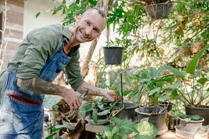 ritratto contento fricchettone maschio a giardino godere rilassare a casa Giardino dietro la casa pianta albero ritaglio foto