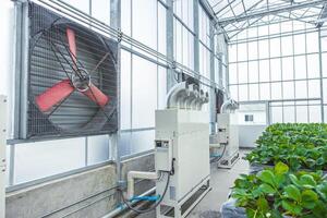 interno serra agricoltura azienda agricola aria ventilatore raffreddamento vento flusso tubo tubo temperatura umidità controllo sistema per piantare foto