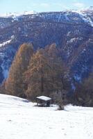 paesaggio invernale in montagna foto