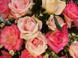 nozze colorato rosa mazzo. fresco, lussureggiante mazzo di colorato fiori. fiori, mazzo, Rose, margherite, tulipani, vaso, regalo, estetica foto