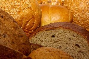 assortimento di pane cotto foto