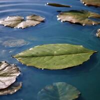 ai generato foglia galleggiante su acqua foto