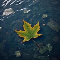 ai generato sereno acqua foglia foto