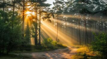 ai generato incantevole primavera foresta paesaggio con sole raggi sbirciando attraverso lussureggiante alberi come magico sfondo foto