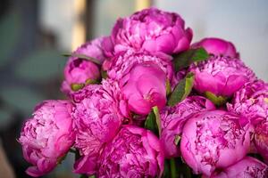 rosa peonie mazzo nel vaso foto