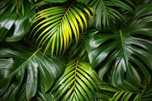 ai generato tropicale le foglie fogliame pianta cespuglio professionale fotografia foto
