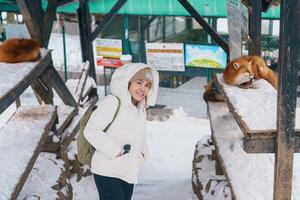 donna turista con carino Volpe su neve nel inverno stagione a zao Volpe villaggio, viaggiatore giro turistico miyagi prefettura. punto di riferimento e popolare per attrazione vicino mandai, tohoku, Giappone. viaggio e vacanza foto