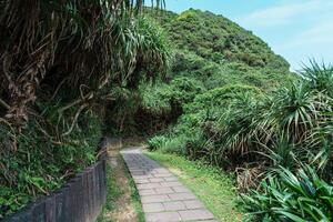 paesaggio di bitou capo escursioni a piedi pista nel nuovo taipei città. punto di riferimento e popolare attrazioni vicino Taipei. Asia e estate viaggio concetto foto