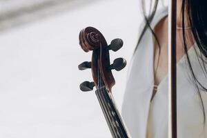 un' frammento di un elettrico violino, un' violino nel il mani di un' del musicista ragazza foto