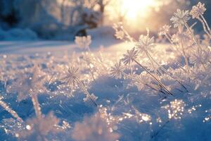 ai generato inverno scenario con gelido ghiaccio fiori. foto