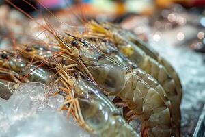 ai generato fresco gamberi su ghiaccio a frutti di mare mercato. foto