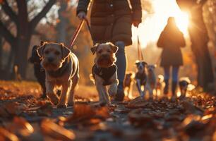 ai generato cani chi siamo a piedi con il di persona mano su guinzagli foto