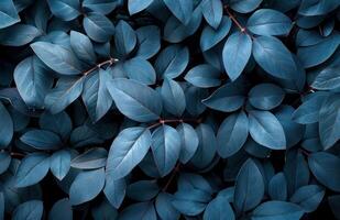ai generato nero e blu le foglie su un' nero sfondo, nel il stile di leggero marrone e buio Smeraldo foto