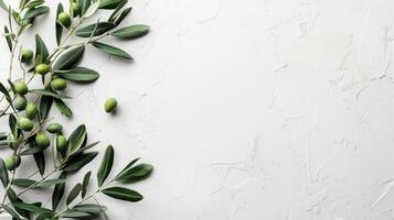 ai generato minimalista bianca sfondo con un' ramo di olive su il sinistra e gratuito spazio su il giusto foto