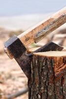 ascia chopping log foto