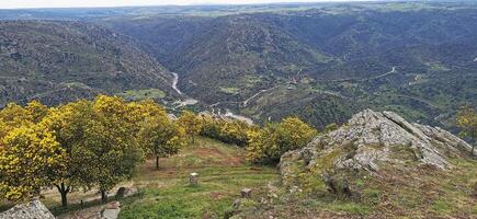 fantastico Visualizza al di sopra di il douro fiume, nel il nord-est di Portogallo. meraviglioso viaggi. foto