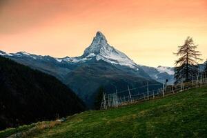 tramonto cielo al di sopra di Cervino montagna su svizzero Alpi e stalla di pecora su pendio nel rurale scena foto