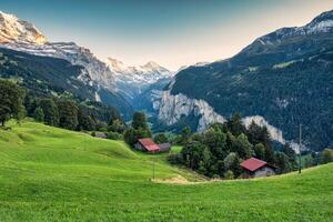 Wengen villaggio e lauterbrunnen valle con jungfrau montagna nel il sera a Berna, Svizzera foto