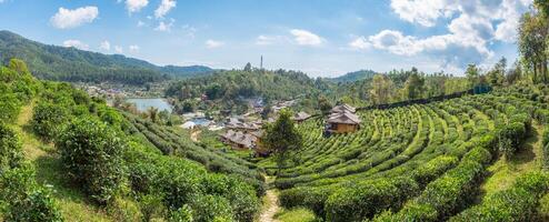 punto di vista resort terra casa nella piantagione di tè a lee wine ban rak thai foto