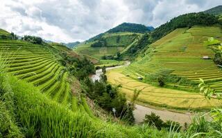 Visualizza di riso campo terrazzato e fiume nel mu cang chai foto