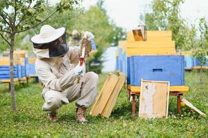 apicoltore è Lavorando con api e alveari su il apiario. apicoltura concetto foto