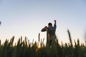 Alba o tramonto immagine di tipo con sollevato mani guardare a sole e godendo giorno. adulto uomo In piedi solo nel mezzo di maturo Grano campo. contadino o agricolo tipo foto