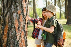 bambini scout nel il foresta. foto