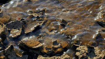 il fango medico sulla riva del Mar Morto foto