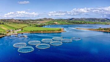 aereo Visualizza di pesce azienda agricola nel contea foto