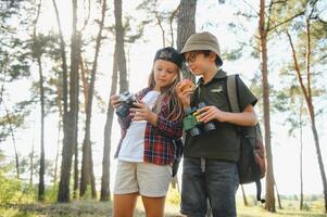 poco ragazzo e ragazza partire escursioni a piedi su un' foresta strada foto