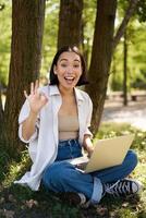 ritratto di asiatico giovane donna, alunno fare compiti a casa, Lavorando nel parco, seduta accanto albero con il computer portatile e mostrando va bene cartello, approvare smth foto